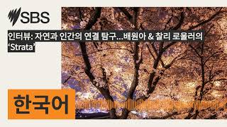 인터뷰: 자연과 인간의 연결 탐구...배원아 \u0026 찰리 로울러의 ‘Strata’ | SBS Korean - SBS 한국어 프로그램