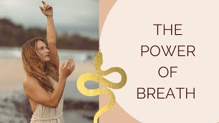 Embodiment Series | The Power Of Breath