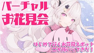 [#雑談 ]夜桜バーチャルお花見会！すきな飲み物もって集合だっ[#新人Vtuber ][#カケラちゃん ]