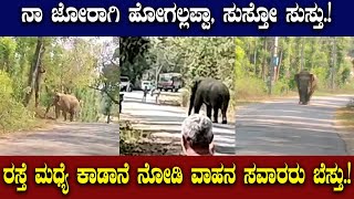 |ELEPHANT | ಕರಡಿ ಕಾಡಾನೆ ನಡೆದಿದ್ದೇ ದಾರಿ.! ಯಾವುದಕ್ಕೂ ಹುಷಾರಾಗಿರಿ.!@publicimpactkannada