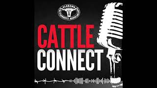 Cattle Connect S1 E44 | That's a Wrap! 2024 a Year in Review