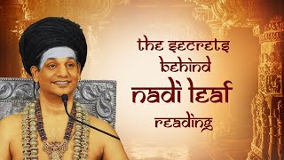 The Secrets Behind Nadi Leaf Reading || Nithyanandoham || 22 Dec 2015