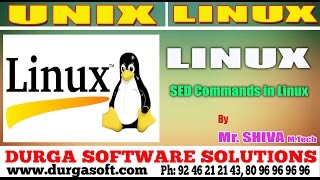 Linux/ Unix Tutorial ||  SED Commands in Linux by Shiva