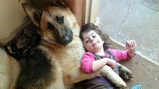 When your dog becomes a special friend - Cute dog and little human