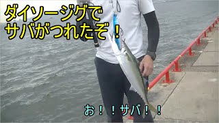 ダイソージグでサバが釣れたよ！！僕はのんびりサビキ釣り！！2020/7/22鳴尾浜海釣り公園