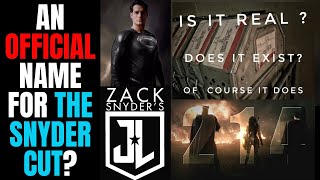 Zack Snyder's Justice League! | Official Snyder Cut Name(?), Meaning of 214, Raising Money For AFSP