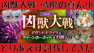 【ログレス】覚醒・獄炎の厄災と聖域の統率者とりあえず討伐【時限真ん中】