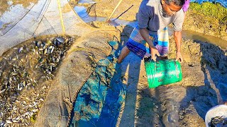 পানি সেচে মাছ ধরার সেরা ভিডিওমাছ ধরা উৎসব।Traditional Water Extracting Fishing Video|পর্ব ৩১