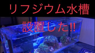 海水水槽　リフジウム水槽設置！