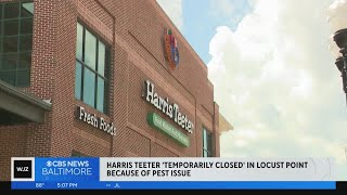 Harris Teeter 'temporarily closed' in Locust Point 'for pest control and sanitation procedures'