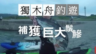 Catch Giant Threadfish  綠島|獨木舟巨大長鬚鰺 Kayak Fishing asia