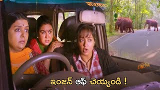 Kavitha Ranjini, Bhanu Priya And Jyothika Telugu Movie Ultimate Interesting Scene || Bhale Cinema