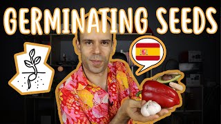 Spanish Comprehensible Input | Let's germinate some seeds - Beginner Spanish