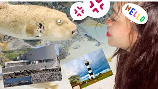 Exploring Oga peninsula ( Oga aquarium GAO and Nyudozaki lighthouse)