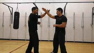 Jeet Kune Do: trapping gates n.2