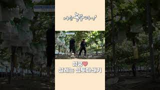 [나는농부다 314회] 심쿵♥ 설레는 심토파쇄기