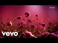Kmpetay - Sunflower 🌻 (Official Music Vizualizer)