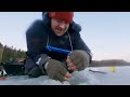 3 5 kg rainbow trout in baltic sea with small ice fishing lure