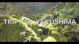 【旅行VLOG】屋久島trip_千尋の滝、THE HOTEL YAKUSHIMAの紹介など