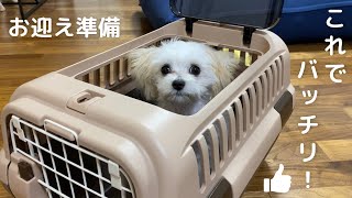 【子犬のお迎え準備】これだけあればOK！子犬を飼うために必要なものを徹底解説