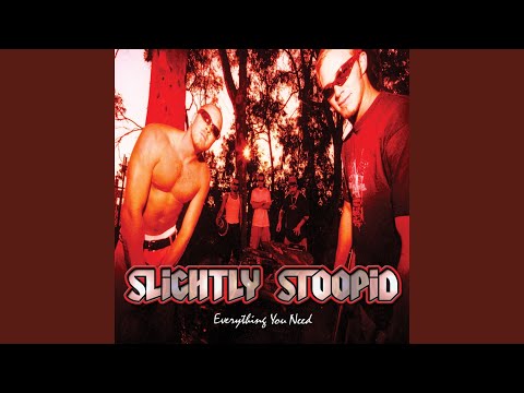 Slightly Stoopid Everything You Need 2003 Cd Discogs