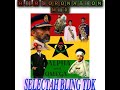 SELECTAH BLING TDK-H.I.M Coronation Mix