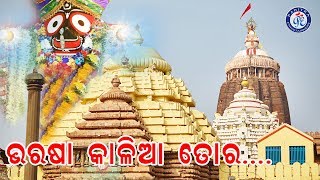 ଆଲୋ ସଜନା ଗଛର ଡାଳ । ଲକ୍ଷ୍ମୀକାନ୍ତ ପାଲିତଙ୍କ କଣ୍ଠରେ ସୁନ୍ଦର ଶ୍ରୀ ଜଗନ୍ନାଥ ଭଜନ | Odia Bhaktisagar