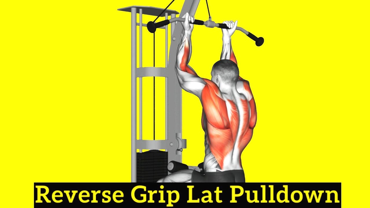 Reverse Grip Pulldowns Cable Reverse Grip Pulldown Female