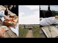 Lunch In Our Wheat Crop