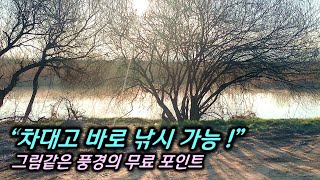 🐟 차대고 바로 낚시, 수도권 무료 낚시포인트를 소개합니다. 🎣 민물낚시/붕어낚시/여주