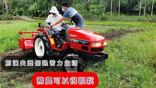 牛筋草噴不死？ 有小型 曳引機  退休 務農夫婦 可以很輕鬆～野馬AF220 ～ tractor トラクター รถแทรกเตอร์  YANMAR野馬整地作業機 A-10V