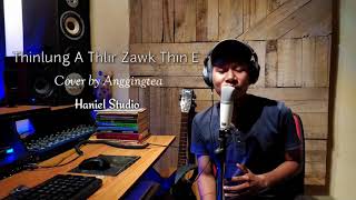 Vanlalsailova - Thinlung A Thlir Zawk Thin E (Cover by Anggingtea)