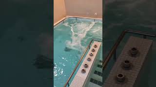 【施設紹介】マッサージプール #pool #gym