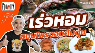 เร่วหอม สมุนไพรจอมต้มตุ๋น | Foodwork [CC]