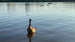 Leamy Lake, Gatineau, Quebec, Canada