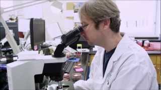CSMLS National Med Lab Week Commercial - Our Focus Is You