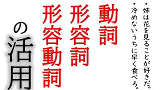 【国語文法】動詞、形容詞、形容動詞の活用形についての解説！【中2国語】