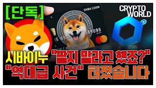 [단독] 시바이누 \