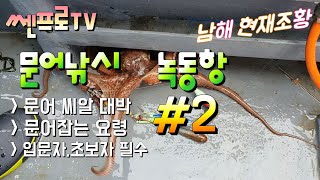 [쎈프로TV]문어낚시 녹동항 현재조황 #2