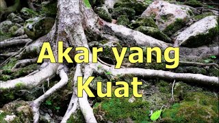 Akar yang Kuat