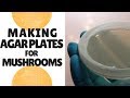 How to Make Agar Plates for Growing Mushrooms How to Make Agar Plates for Growing Mushrooms