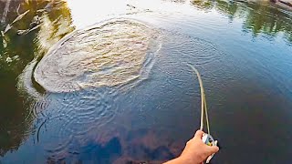 ENCOUNTERS WITH MONSTER MURRAY COD , Land Based River Fishing