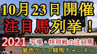 【注目馬列挙】2021年10月23日JRA平場特別戦！菊花賞無念の除外素質馬が揃った阪神9R！