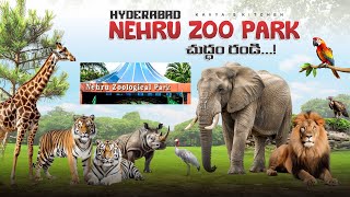 Nehru Zoological Park Hyderabad || complete tour || telugu full vedio 2025 || Kavya's kitchen