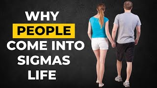 9 Reasons Why People Come Into Sigma Males Life