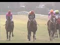 ナリタトップロード 2001年 第94回京都記念 gii 優勝馬：マックロウ 実況：ラジオたんぱ