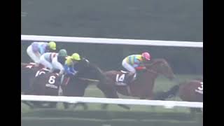 ナリタトップロード 2001年 第94回京都記念(GII) (優勝馬：マックロウ) (実況：ラジオたんぱ)