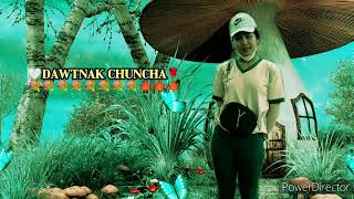 Dawtnak Chuncha //Paling//phonto (cover) A zi