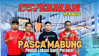 Aksi Murai Batu SUPERMAN💥Pasca Mabung  - Road To 3rd Anniversary Grumsa