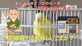 「敬老の日に寄せて」（おしゃべりインコのピーポ2021年第13弾）